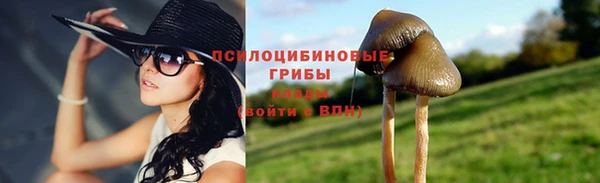 эйфоретик Зерноград