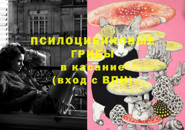 эйфоретик Зерноград