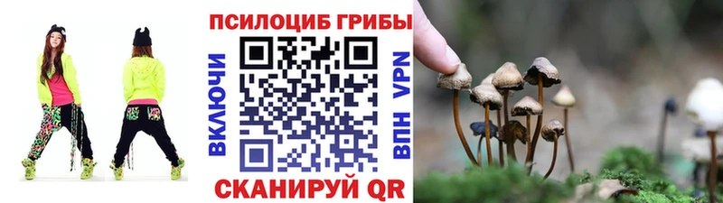 Купить  Дрезна  Псилоцибиновые грибы мухоморы 