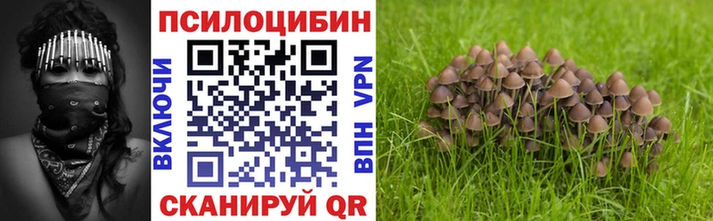 Галлюциногенные грибы Psilocybine cubensis Дрезна