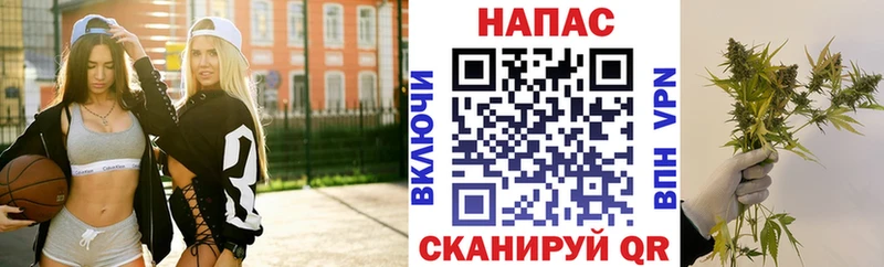 Шишки марихуана план  Купить где  Дрезна 